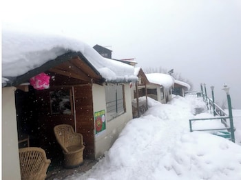 bluepoppy resort auli