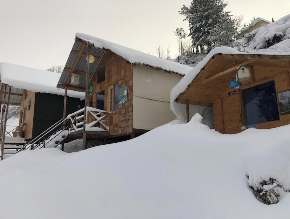 bluepoppy resort auli