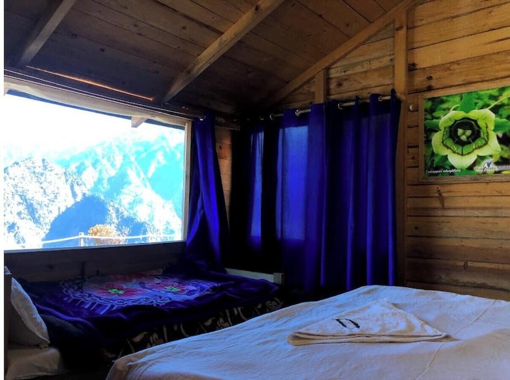 bluepoppy resort auli