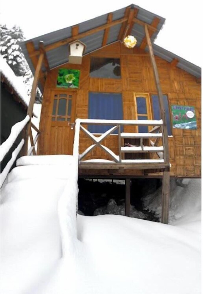 bluepoppy resort auli