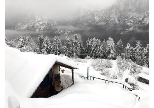 bluepoppy resort auli