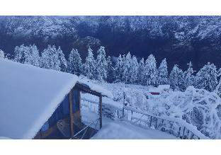 bluepoppy resort auli