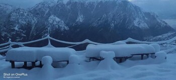 bluepoppy resort auli