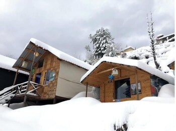 bluepoppy resort auli