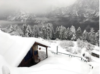 Bluepoppy Resort Auli,,2 star