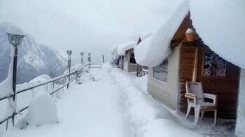 bluepoppy resort auli