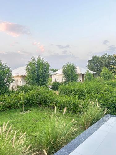 Jawai Horizon Camp,,3 star