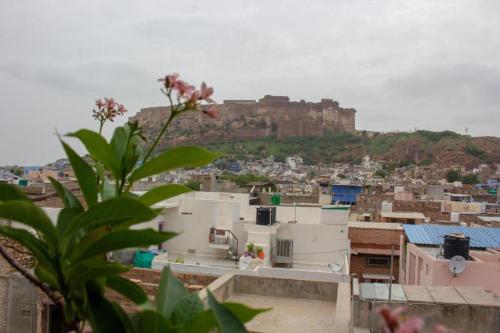 jodhpur