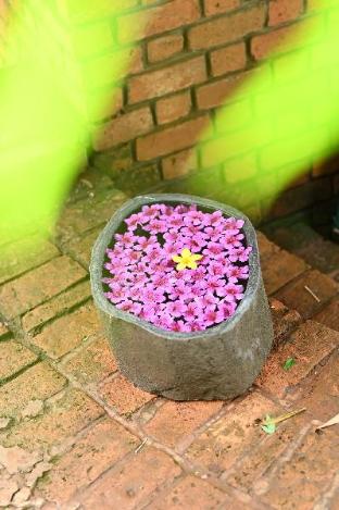 bamboo and bricks resorts