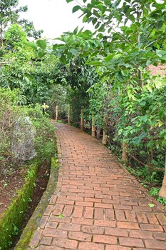 bamboo and bricks resorts