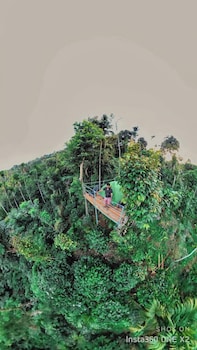 kaffeevalley home stay