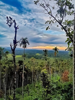 kaffeevalley home stay