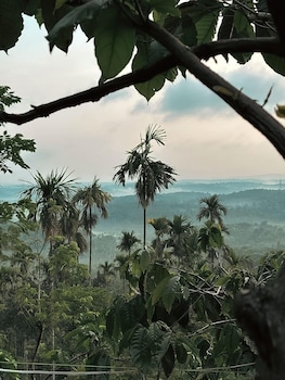 kaffeevalley home stay