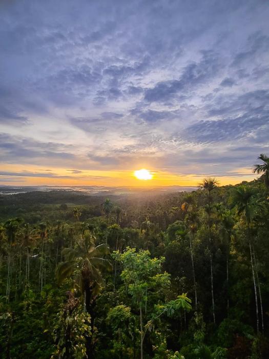 kaffeevalley home stay