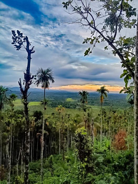 kaffeevalley home stay