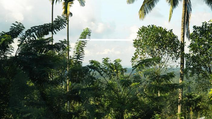 kaffeevalley home stay