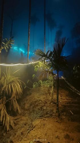 kaffeevalley home stay