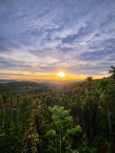 kaffeevalley home stay