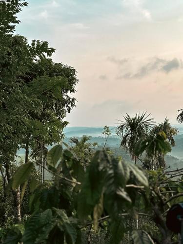 kaffeevalley home stay