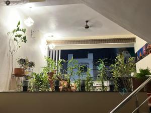 hotel shivashray luxury stays and inn