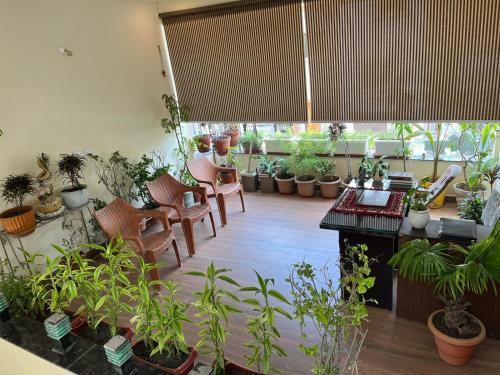 hotel shivashray luxury stays and inn