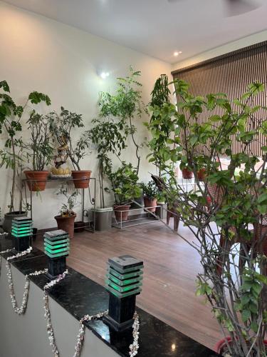 hotel shivashray luxury stays and inn