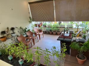 hotel shivashray luxury stays and inn