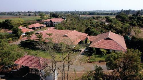 tapasya health and wellness