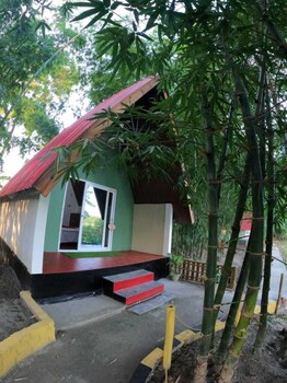 mayang