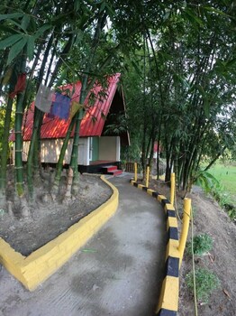 mayang