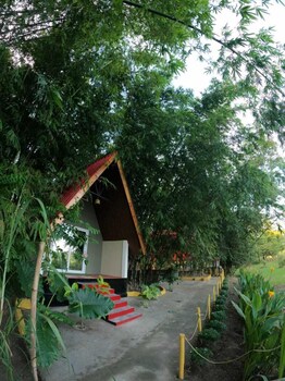 mayang