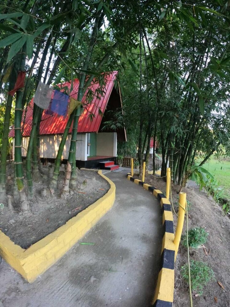 mayang