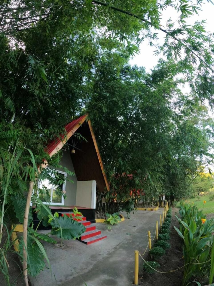 mayang
