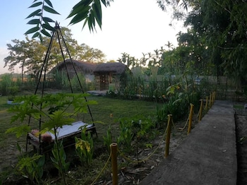 mayang
