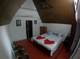 mayang