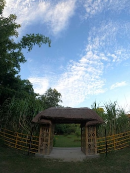 mayang