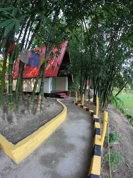 mayang