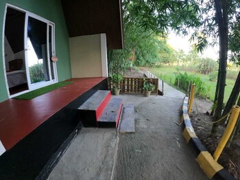 mayang