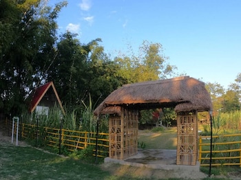 mayang