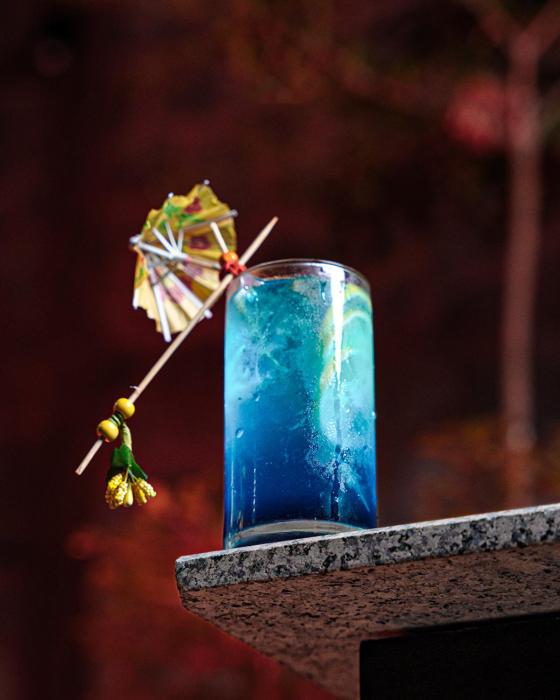 yashvrinda hotel and resort