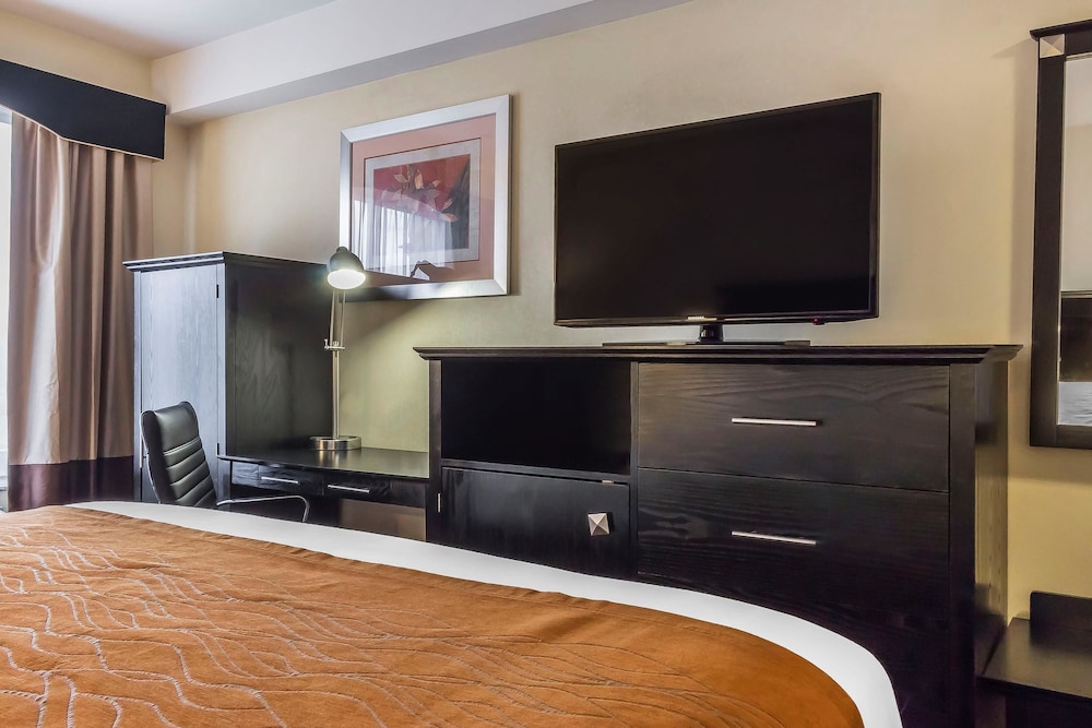 comfort inn and suites laguardia airport