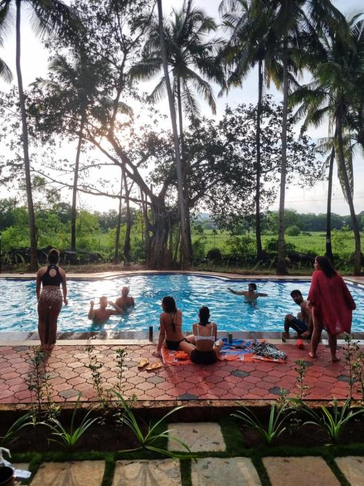 seclude eco cottages