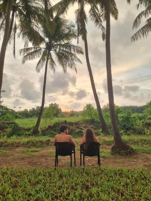 seclude eco cottages