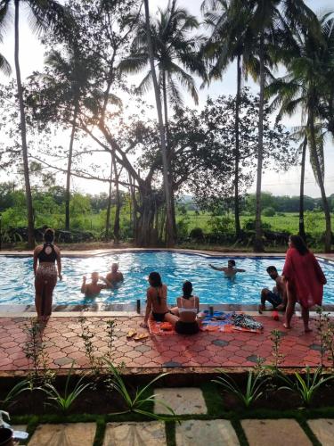 seclude eco cottages