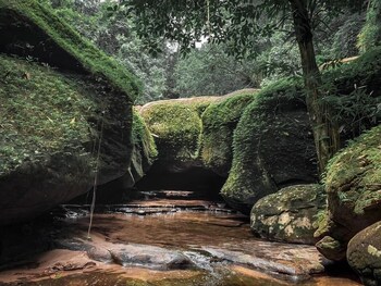 anantara pura resort