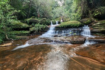 anantara pura resort