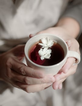 anantara pura resort