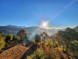 pristine edge kasauli
