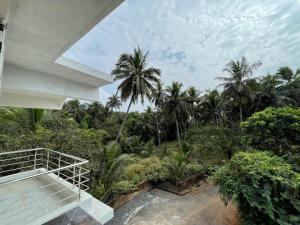 margaritas residency