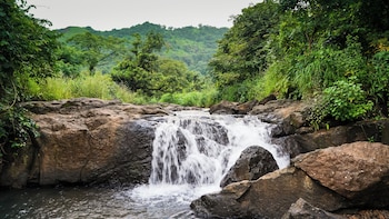 whispering peepul resort